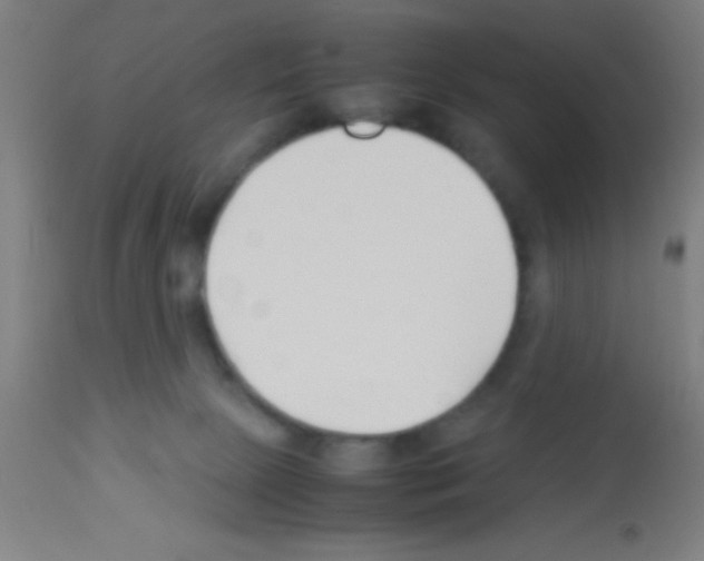 X0000113150081200910161230