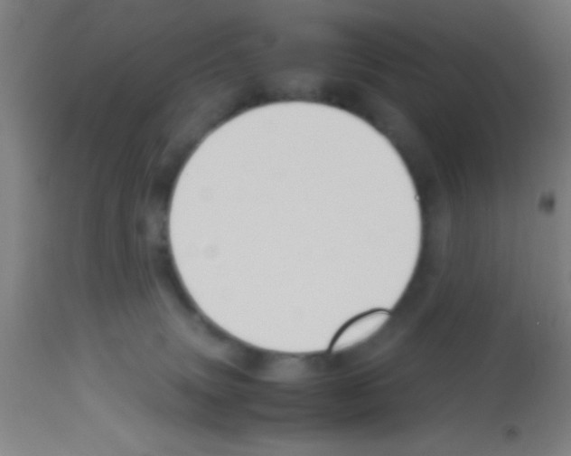 X0000113150083200910161230