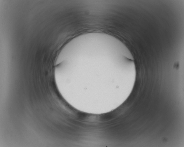 X0000113150084200910161230