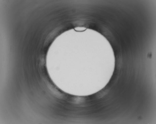 X0000113150085200910161230