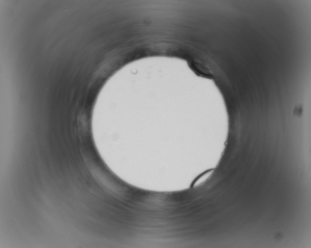 X0000113150086200910161230