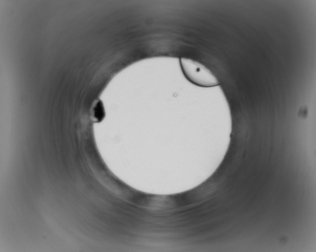 X0000113150087200910161230