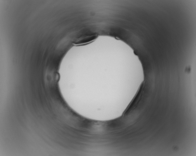 X0000113150088200910161230