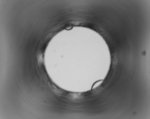 X0000113150089200910161230