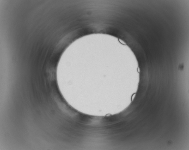 X0000113150090200910161230