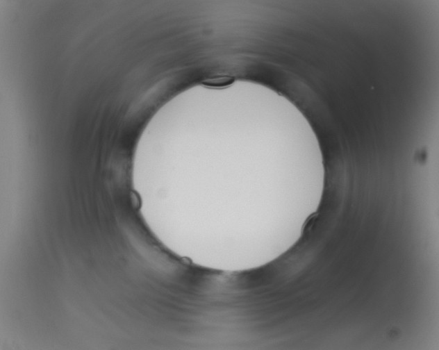 X0000113150092200910161230