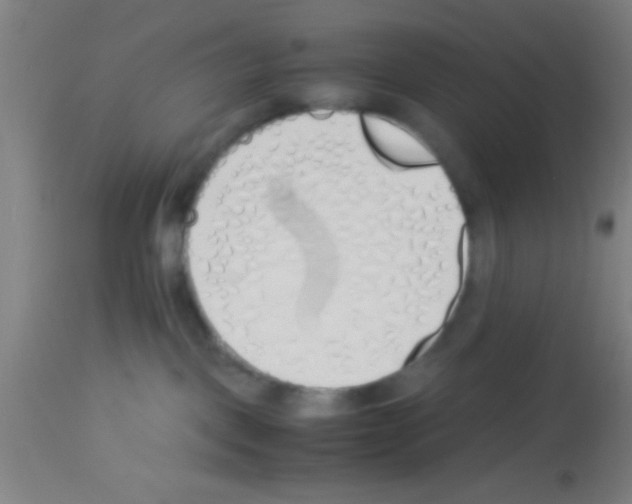 X0000113150093200910161230