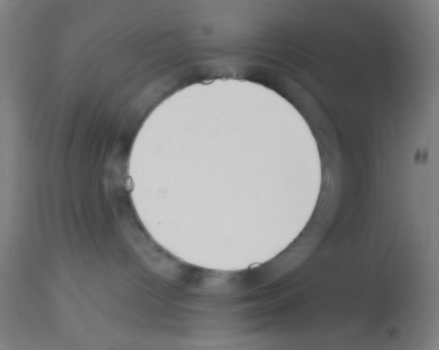 X0000113150096200910161230