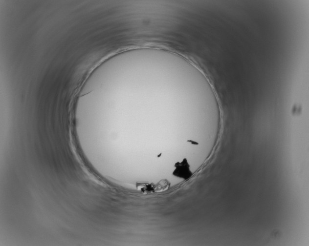 X0000113150097200910161229