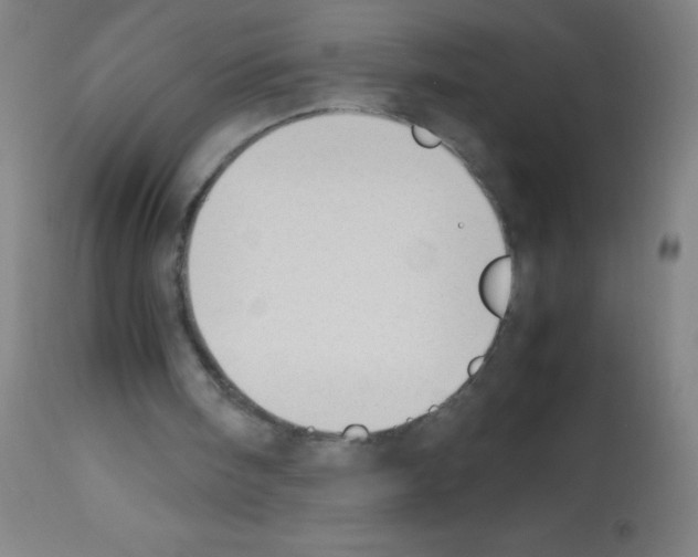 X0000113150098200910161229