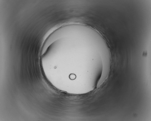 X0000113150100200910161229