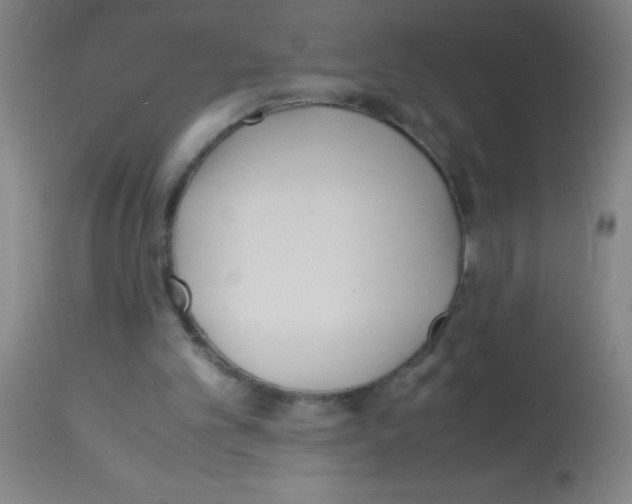 X0000113150101200910161229