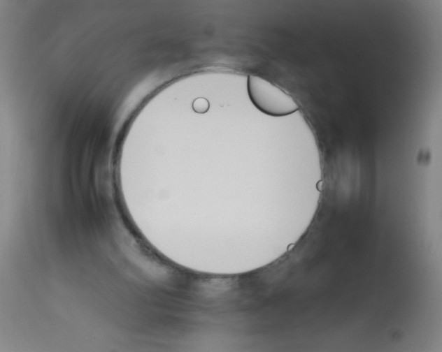 X0000113150102200910161229