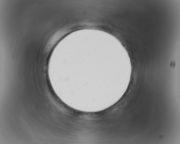 X0000113150103200910161229