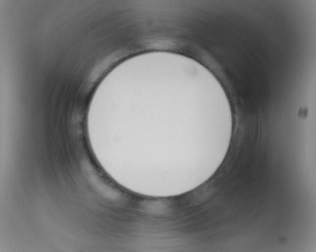 X0000113150106200910161229