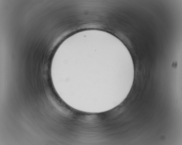 X0000113150108200910161229