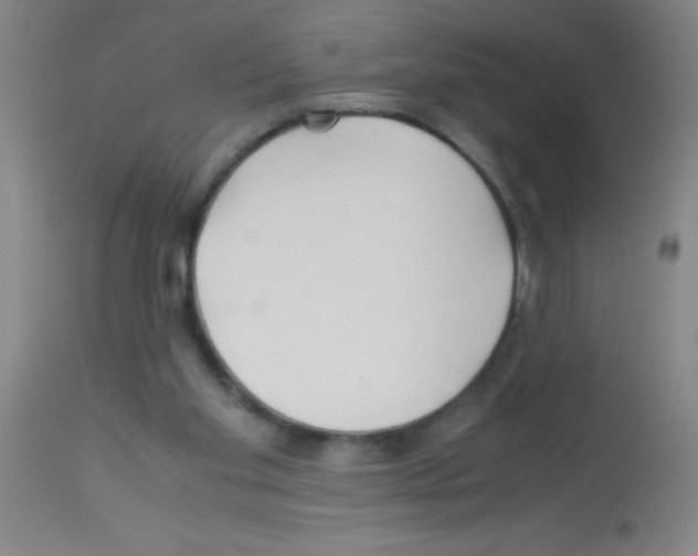 X0000113150109200910161229