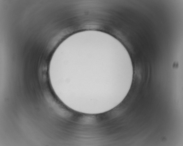 X0000113150110200910161229