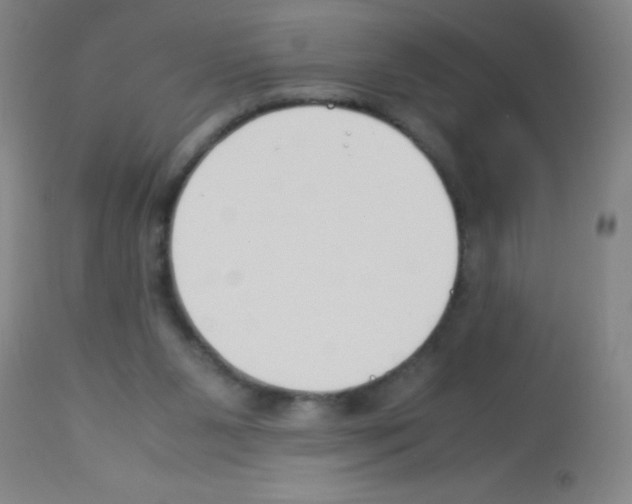 X0000113150111200910161229