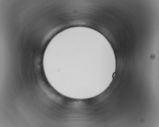 X0000113150112200910161229