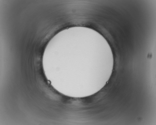 X0000113150113200910161229