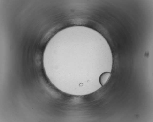 X0000113150114200910161229