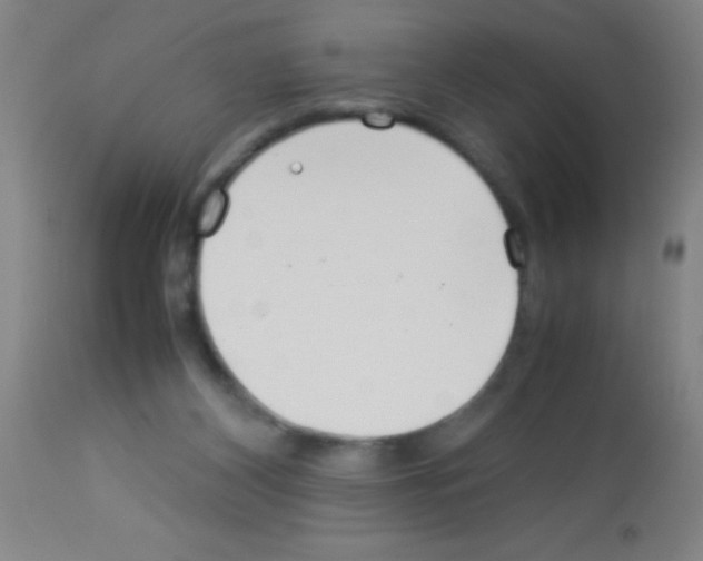 X0000113150116200910161229