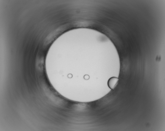 X0000113150118200910161229