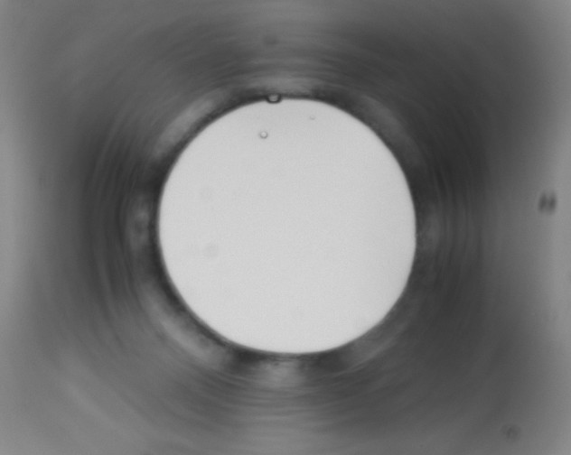 X0000113150120200910161229