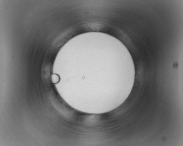 X0000113150122200910161229