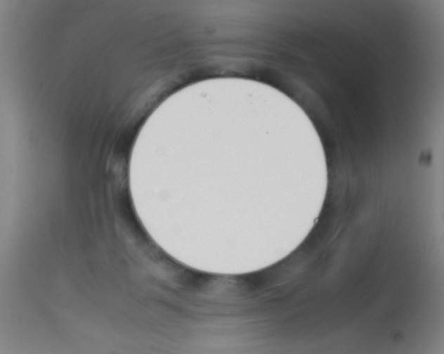 X0000113150123200910161229