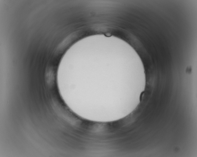 X0000113150124200910161229