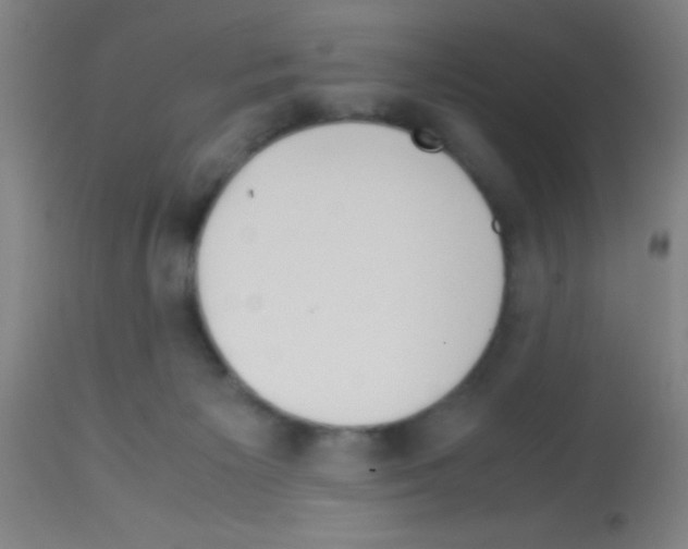 X0000113150125200910161229