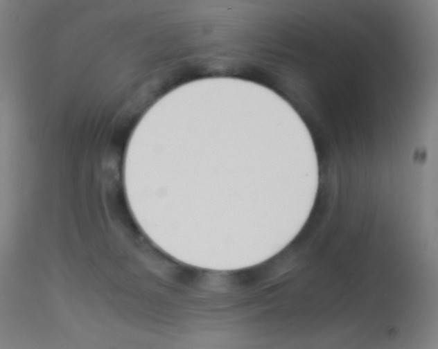 X0000113150127200910161229