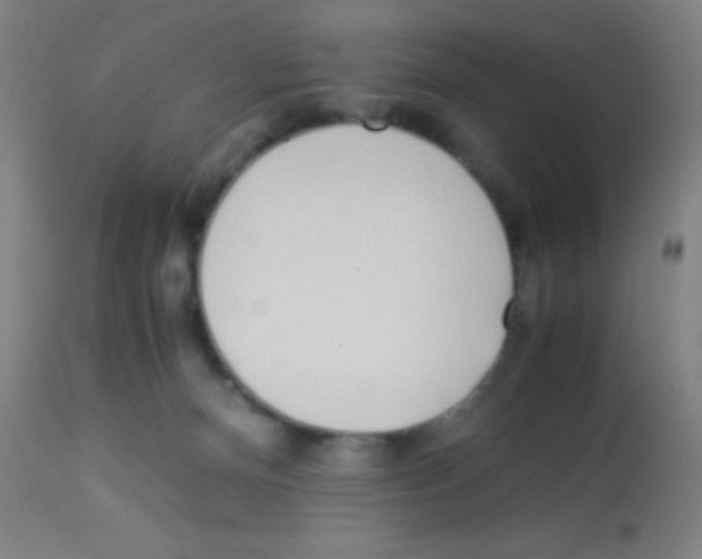 X0000113150128200910161229