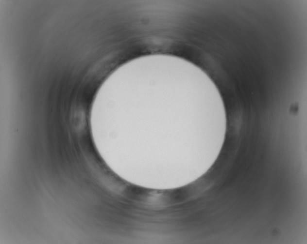 X0000113150130200910161229