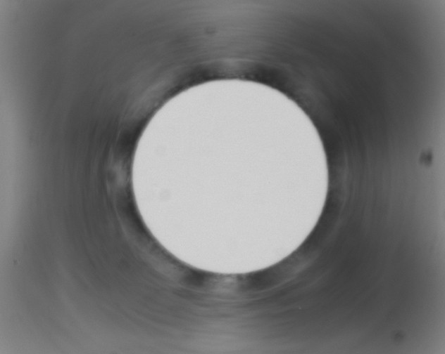 X0000113150131200910161229