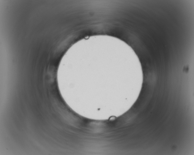 X0000113150133200910161229