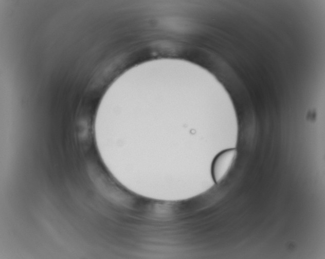 X0000113150134200910161229