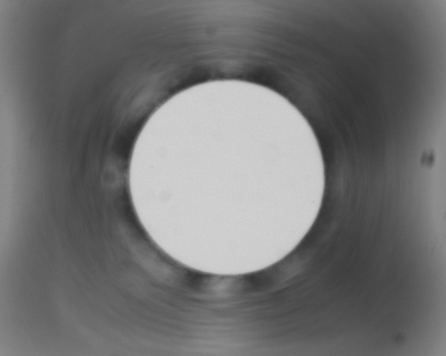 X0000113150135200910161229