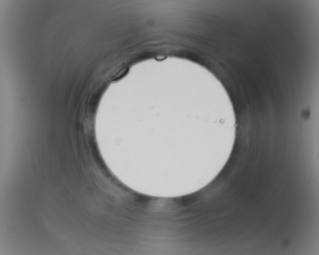 X0000113150137200910161229