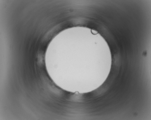 X0000113150138200910161229