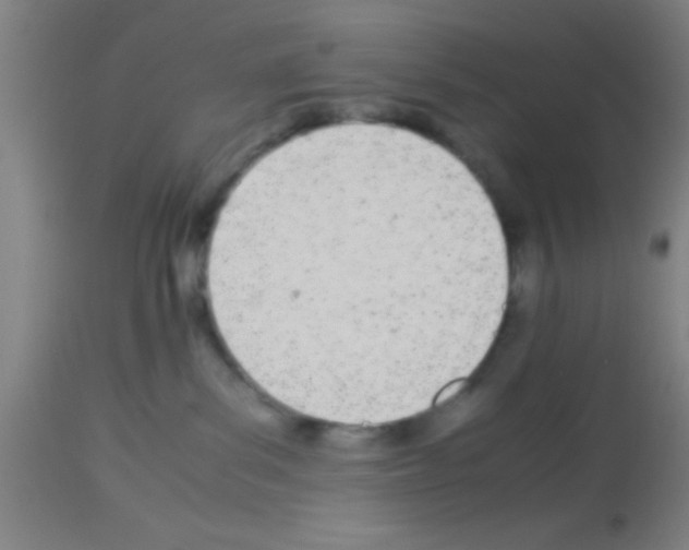 X0000113150139200910161229