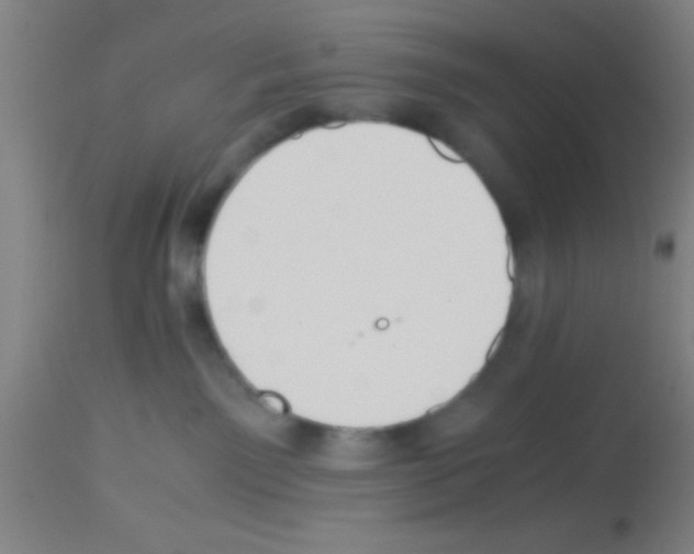 X0000113150141200910161229