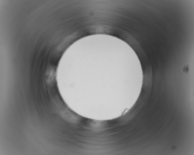 X0000113150142200910161229