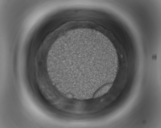 X0000113150143200910161229