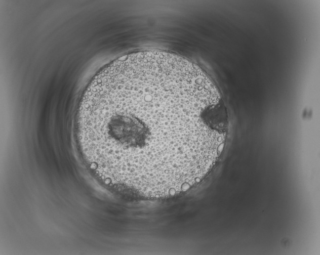 X0000113150145200910161228