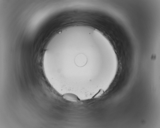 X0000113150146200910161228