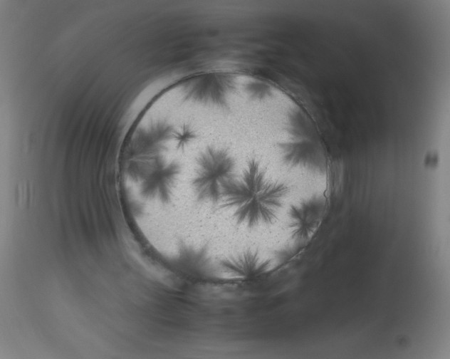 X0000113150147200910161228