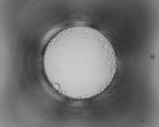 X0000113150149200910161228